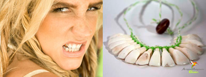 Leia mais sobre o artigo Colar de dentes para Ke$ha, quem topa?