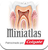 Leia mais sobre o artigo Miniatlas Odontologia – GRÁTIS – para iPhone, iPad e iPod Touch.