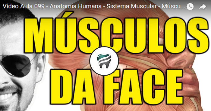 Leia mais sobre o artigo [Vídeo Aula] Músculos da Face: Mímica / Expressão Facial — SUPER VÍDEO!